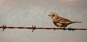 lark_sparrow_color1