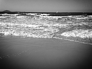 IMG_0594