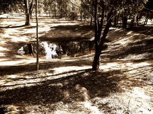 IMG_2402