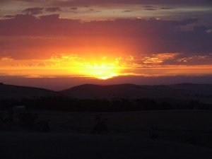 IMG_0154(1)
