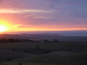 IMG_0164
