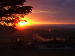 IMG_0178