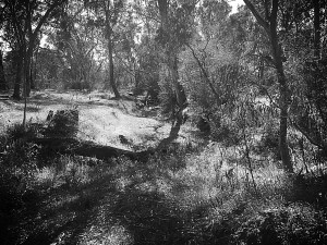IMG_0689