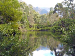 Grampians Series I