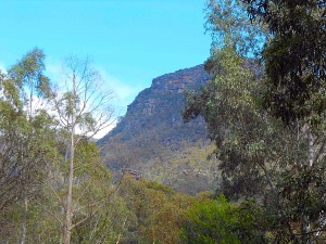 IMG_0706